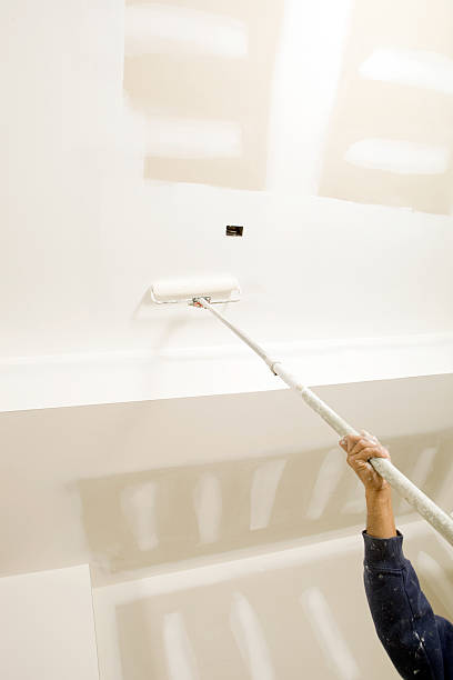 Professional Mold Removal in Kingston, PA